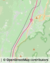 Ortofrutticoltura Montagna,39040Bolzano