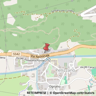 Mappa Via Nazionale, 38, 38020 Pellizzano, Trento (Trentino-Alto Adige)