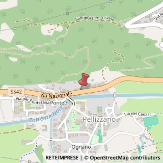 Mappa Via Nazionale, 20, 38020 Pellizzano, Trento (Trentino-Alto Adige)