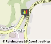 Autofficine e Centri Assistenza,60039Ancona