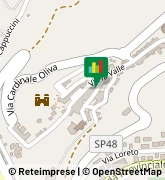 Vicolo Santa Chiara, 1,60047Sassoferrato