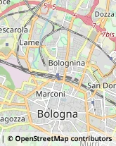 Fisiokinesiterapia - Medici Specialisti Bologna,40128Bologna