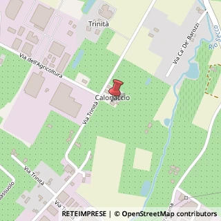 Mappa Via Trinità, 9, 41058 Vignola, Modena (Emilia Romagna)