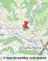 Via A. Gavino, 152/R,16014Campomorone