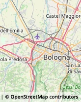 Partiti e Movimenti Politici Bologna,40121Bologna