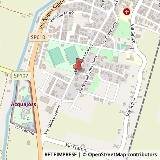 Mappa Via Galileo Galilei, 31, 48017 Conselice, Ravenna (Emilia Romagna)