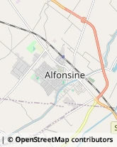 Aziende Agricole Alfonsine,48011Ravenna