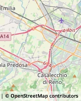 Articoli Sportivi - Dettaglio Bologna,40133Bologna