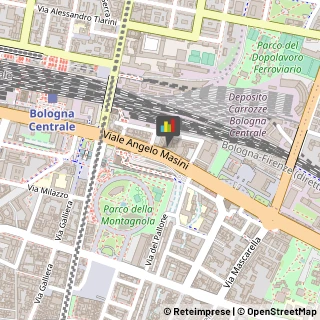 Cinema e Televisione - Sonorizzazione e Doppiaggio Bologna,40126Bologna