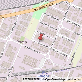 Mappa Via dell'Idraulico, 11, 40138 Bologna, Bologna (Emilia Romagna)
