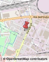 Via Larga, 34-2,40138Bologna