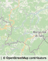 Aziende Agricole Borgo Val di Taro,43043Parma