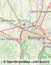 Partiti e Movimenti Politici Bologna,40134Bologna