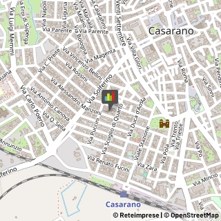 Piante e Fiori - Dettaglio,73042Lecce