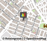 Piante e Fiori - Dettaglio,73042Lecce