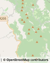 Imprese Edili Alviano,05020Terni