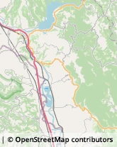 Aziende Agricole Montecchio,05020Terni