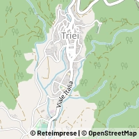 Kort Triei