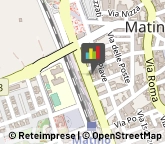 Piante e Fiori - Dettaglio,73046Lecce