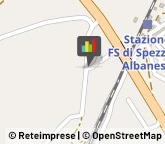 Vivai Piante e Fiori Spezzano Albanese,87019Cosenza