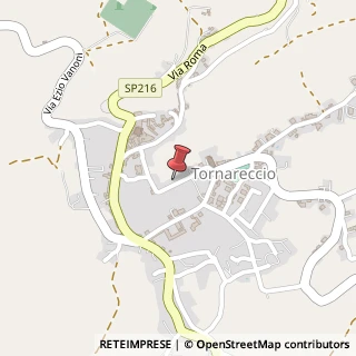 Mappa Via del carmine 59, 66046 Tornareccio, Chieti (Abruzzo)