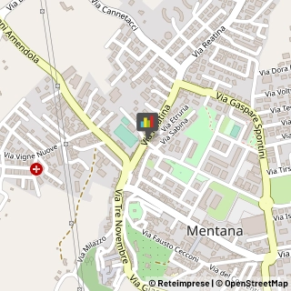 Odontoiatri e Dentisti - Medici Chirurghi,00013Roma