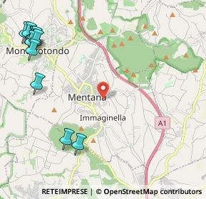 Mappa 00013 Mentana RM, Italia (3.30727)