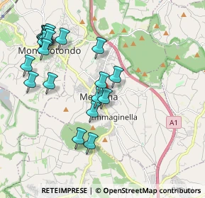 Mappa 00013, 00013 Mentana RM, Italia (2.255)