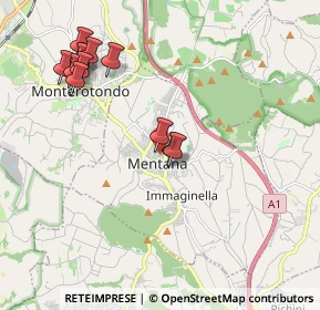 Mappa Via Luigi Sturzo, 00013 Mentana RM, Italia (2.22417)