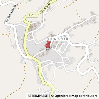 Mappa Viale Don Giovanni Bosco, 10, 66046 Tornareccio, Chieti (Abruzzo)