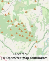 Panifici Industriali ed Artigianali Cerveteri,00052Roma