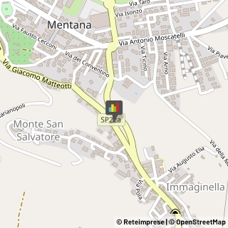 Odontoiatri e Dentisti - Medici Chirurghi,00013Roma