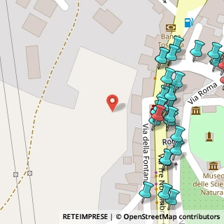 Mappa Via della Fontana, 00013 Mentana RM, Italia (0.1)