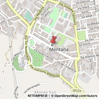Mappa Via Moscatelli Antonio, 109, 00013 Mentana, Roma (Lazio)