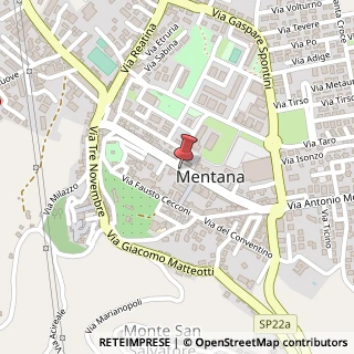 Mappa Via Antonio Moscatelli, 110, 00013 Mentana, Roma (Lazio)