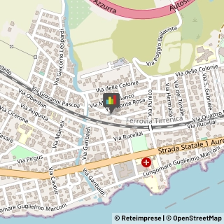 Palestre e Centri Fitness,00058Roma
