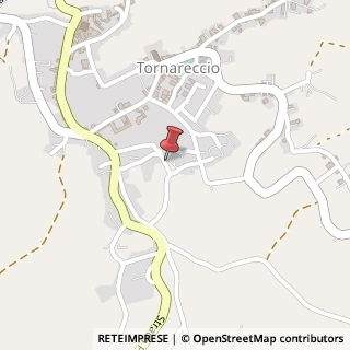 Mappa Via Antonio Gramsci, 24, 66046 Tornareccio, Chieti (Abruzzo)