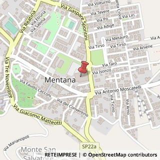 Mappa Via Gaspare Spontini, 52, 00013 Mentana, Roma (Lazio)