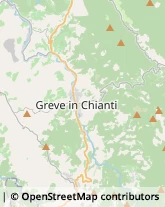 Campeggi, Villaggi Turistici e Ostelli Greve in Chianti,50022Firenze