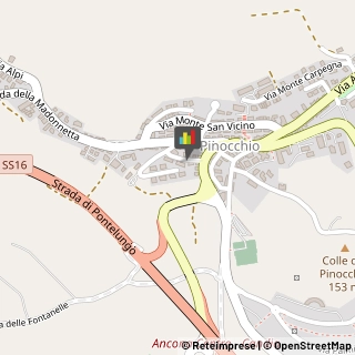 Internet - Provider,60131Ancona