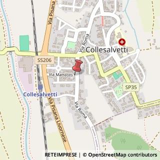 Mappa Via Roma, 320, 57014 Collesalvetti, Livorno (Toscana)