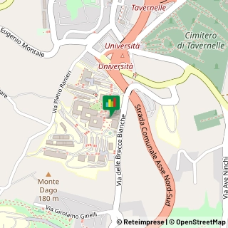 Via Brecce Bianche, 12,60131Ancona