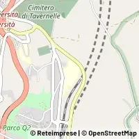 Kart Ancona