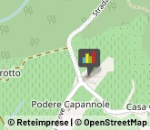 Aziende Agricole,50028Firenze