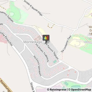 Pubblicità - Agenzie e Studi,60131Ancona