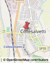 Via Roma, 264,57014Collesalvetti