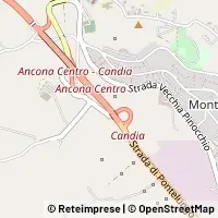 Kart Ancona