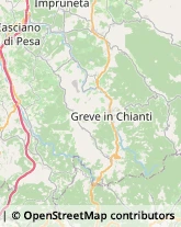 Aziende Agricole Greve in Chianti,50022Firenze