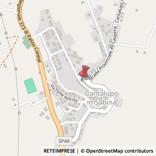Mappa Piazza Giuseppe Garibaldi, 15, 02040 Cantalupo in Sabina, Rieti (Lazio)