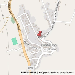 Mappa Piazza Giuseppe Garibaldi, 5, 02040 Cantalupo in Sabina, Rieti (Lazio)